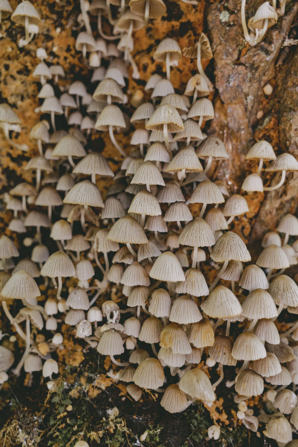 Alp-Cross von Tegernsee nach Sterzing (Sep., 2020)