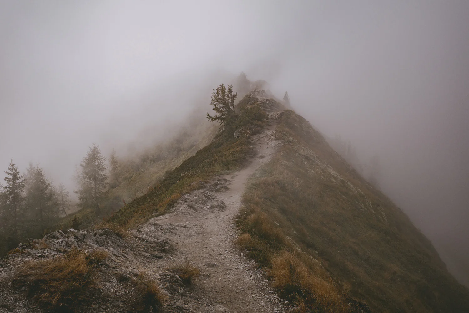 Alp-Cross von Tegernsee nach Sterzing (Sep., 2020)
