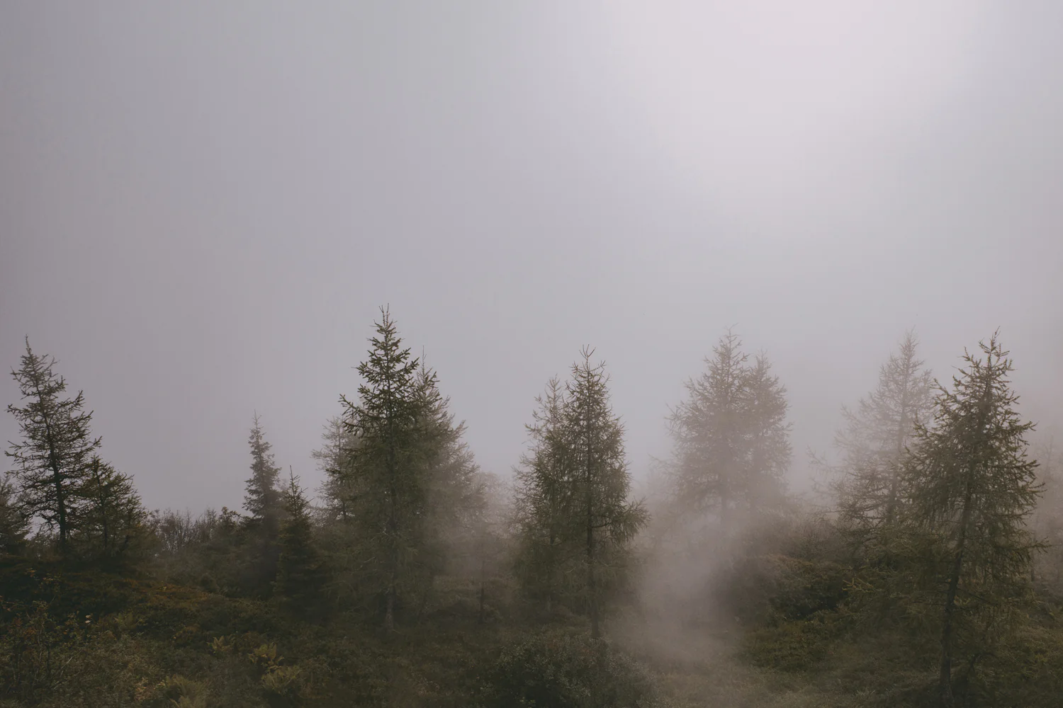 Alp-Cross von Tegernsee nach Sterzing (Sep., 2020)