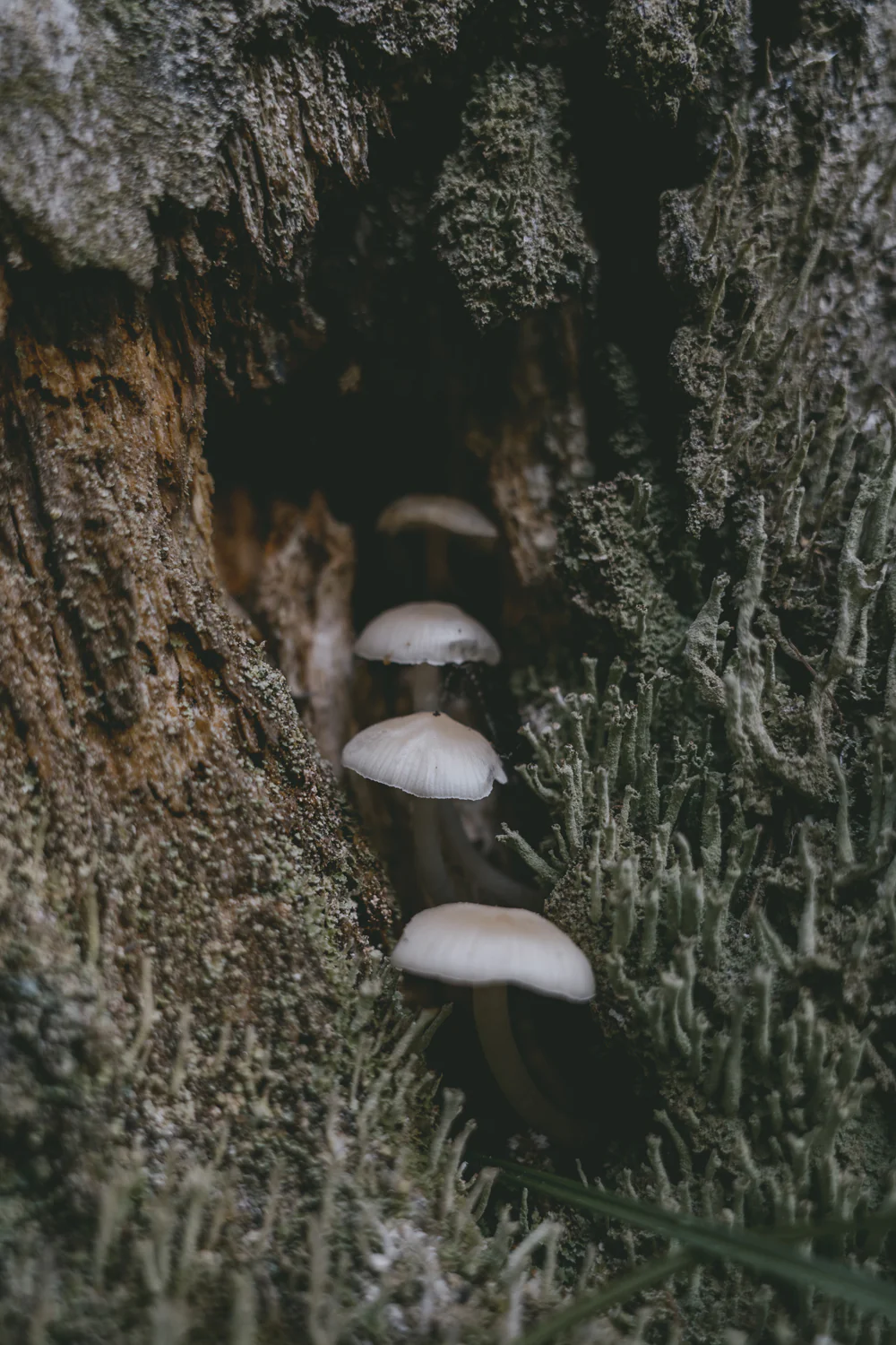 Alp-Cross von Tegernsee nach Sterzing (Sep., 2020)