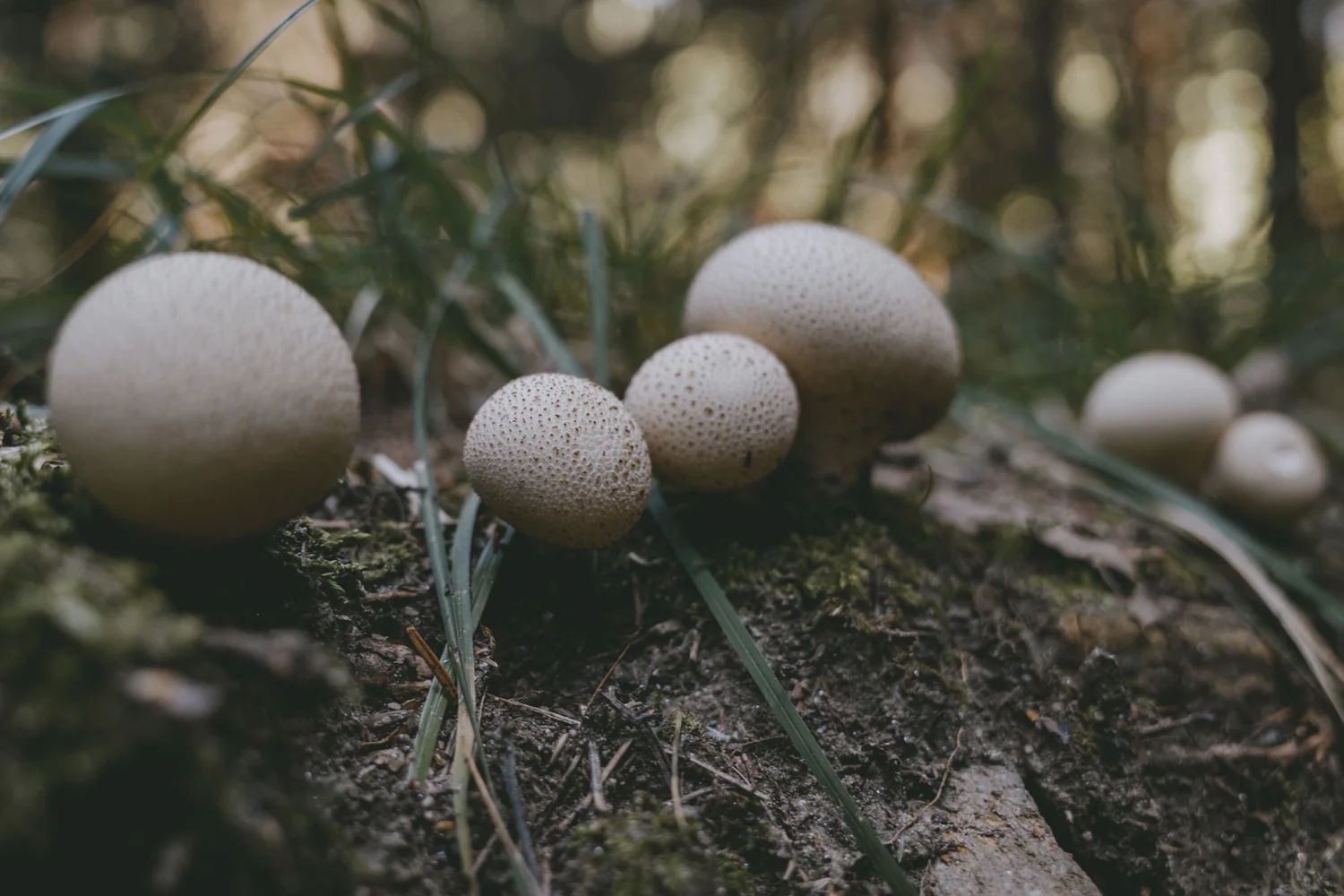 Alp-Cross von Tegernsee nach Sterzing (Sep., 2020)