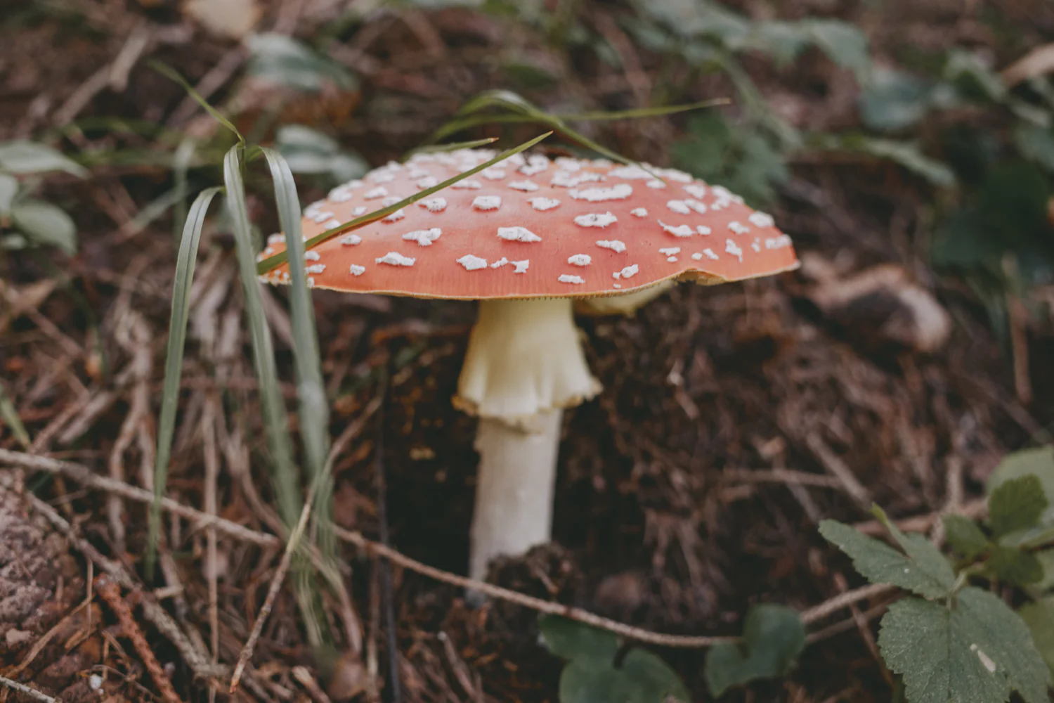 Alp-Cross von Tegernsee nach Sterzing (Sep., 2020)