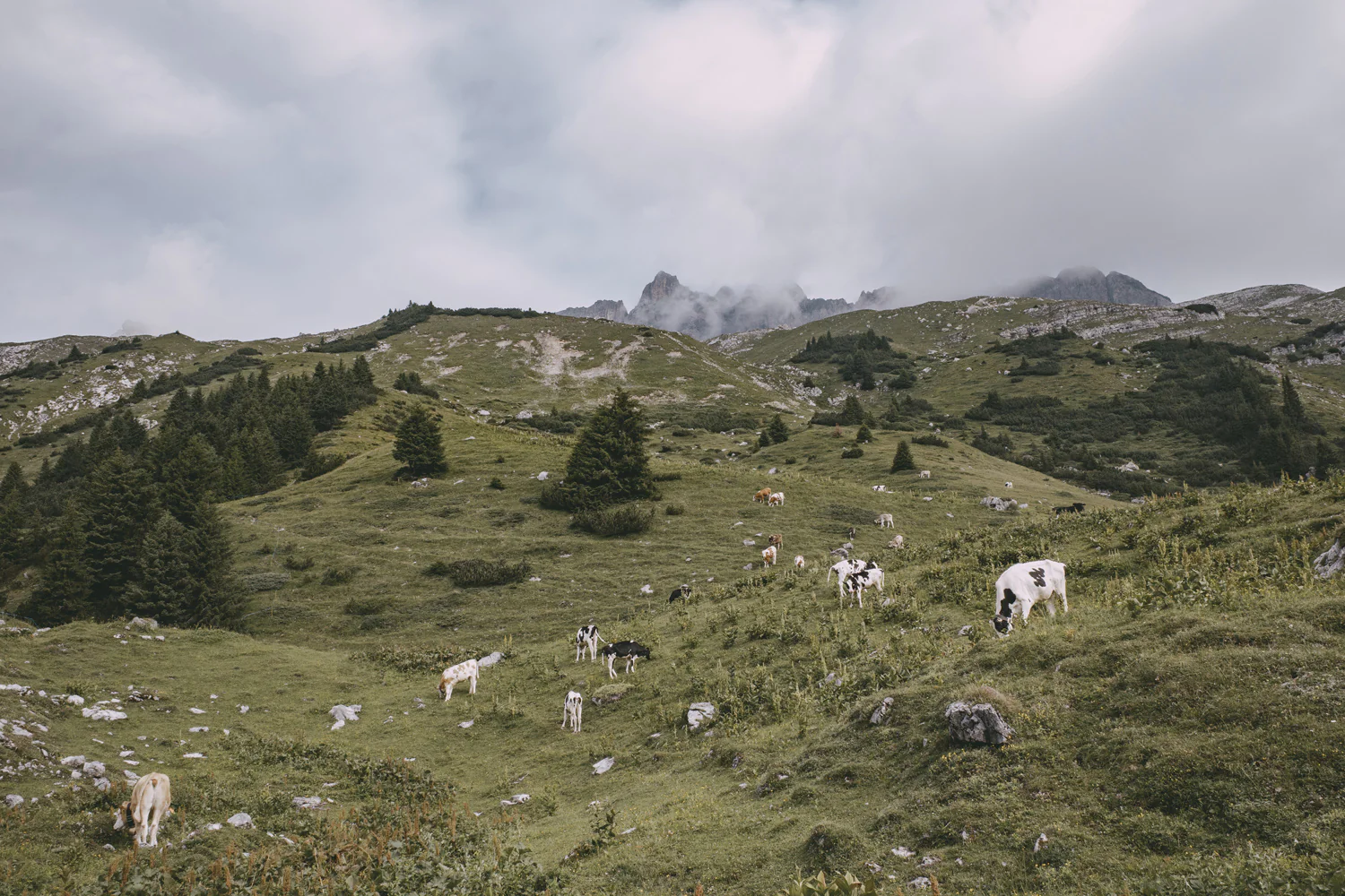 Lechweg (Juli, 2025)