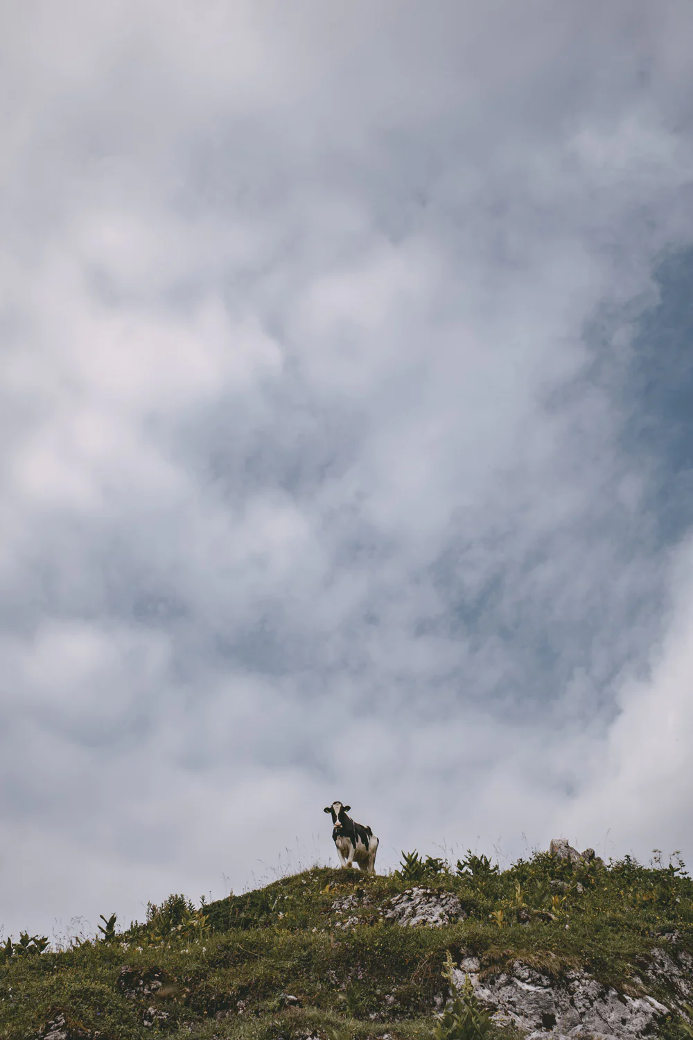 Lechweg (Juli, 2025)