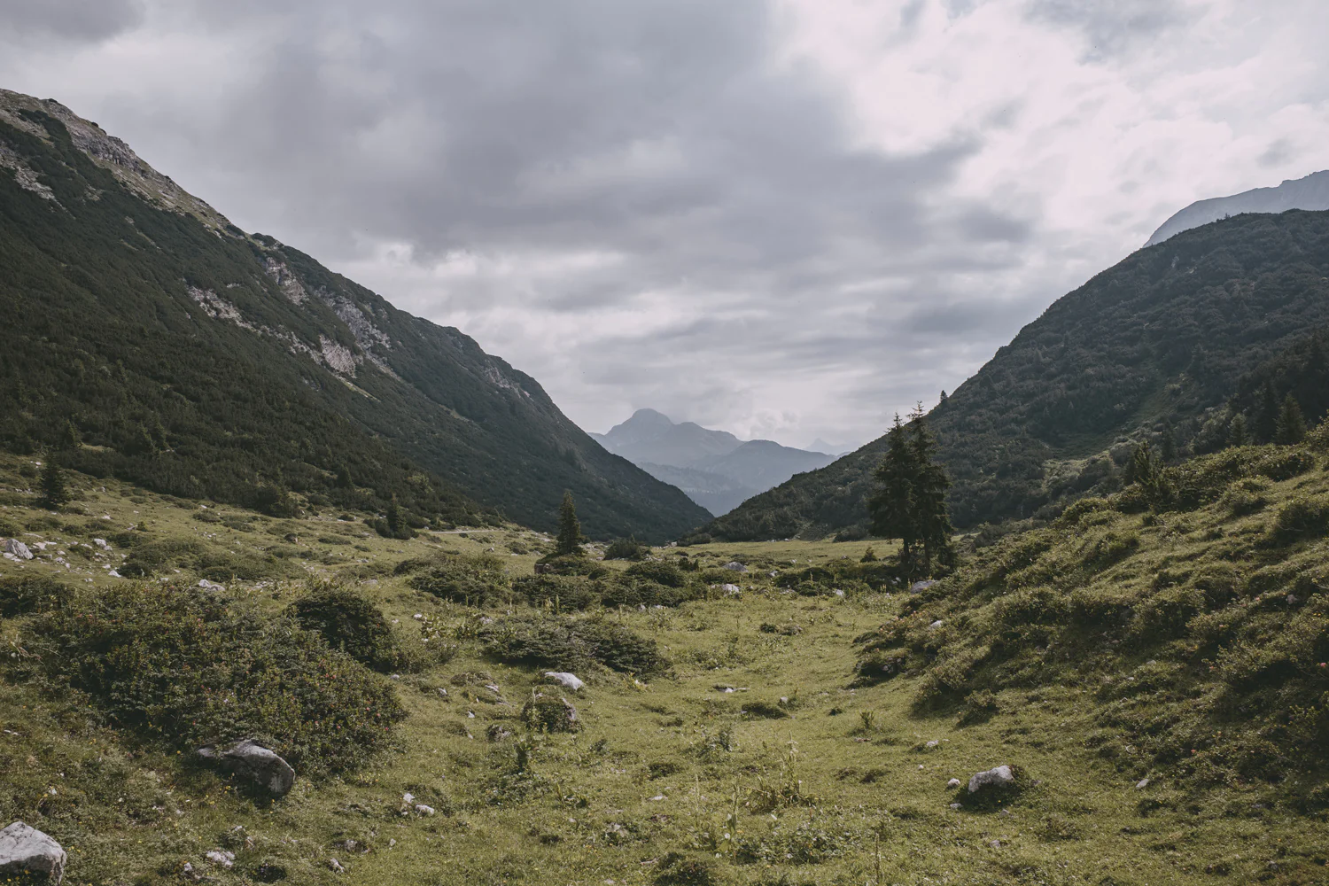 Lechweg (Juli, 2025)