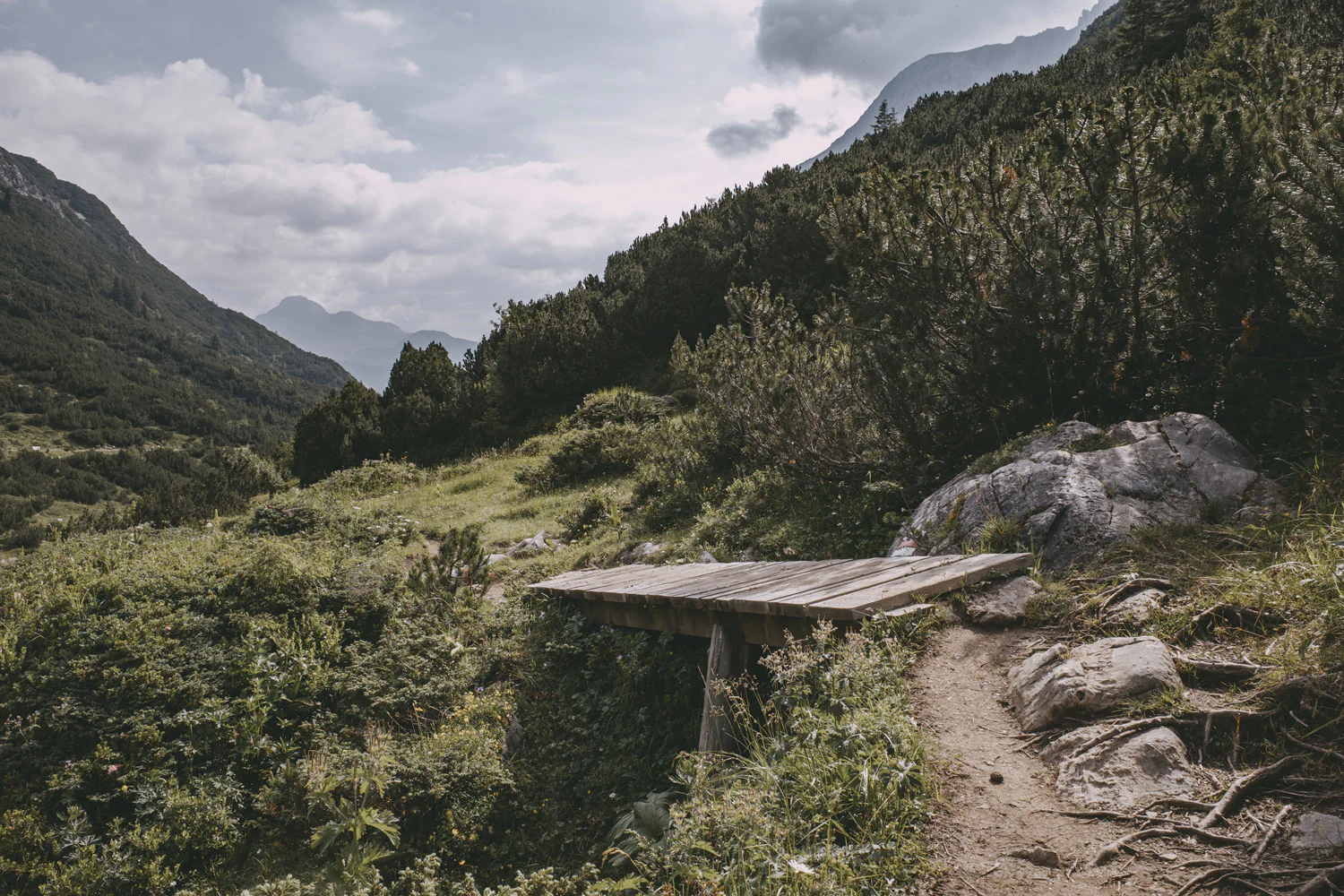 Lechweg (Juli, 2025)