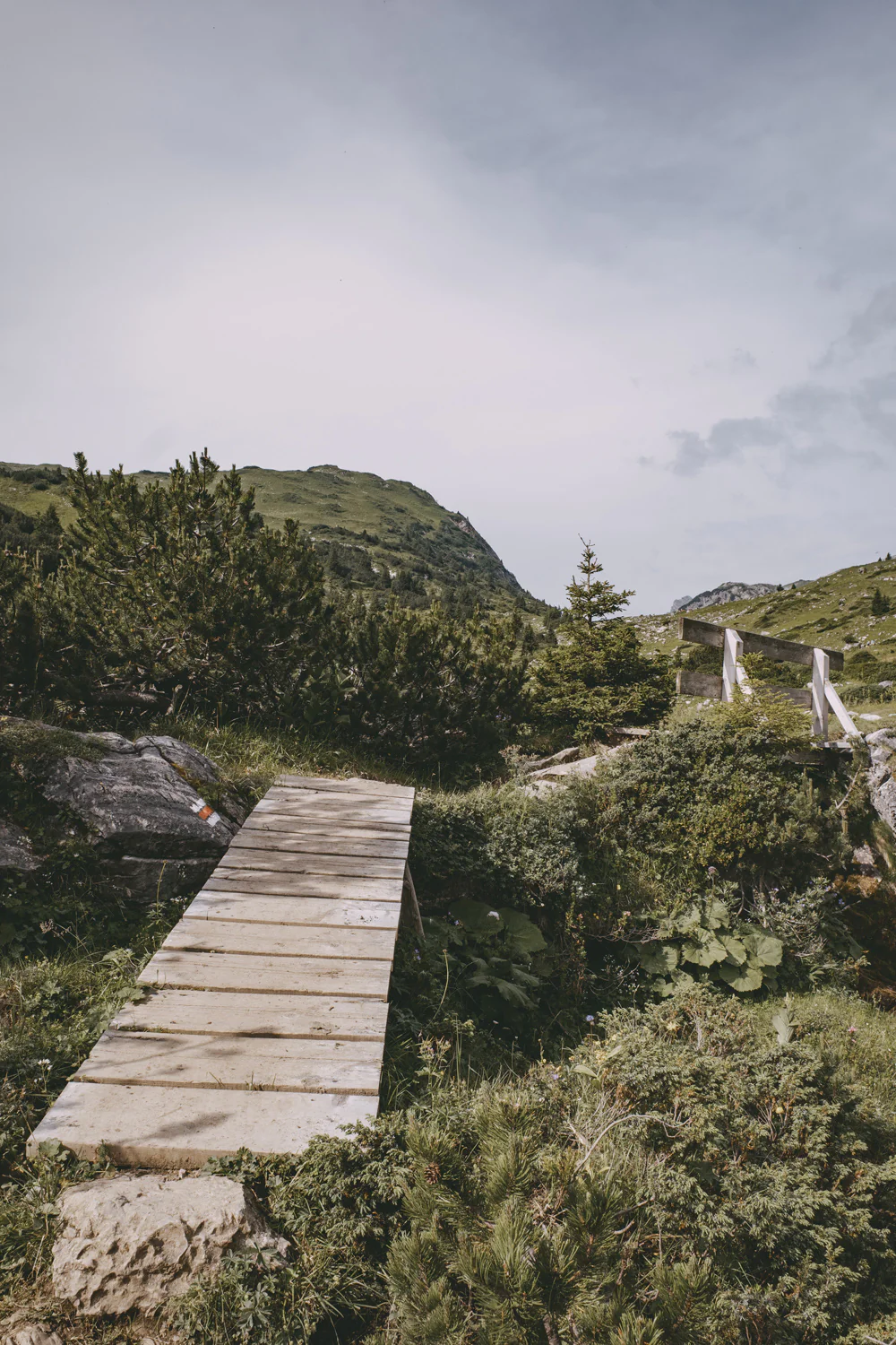 Lechweg (Juli, 2025)