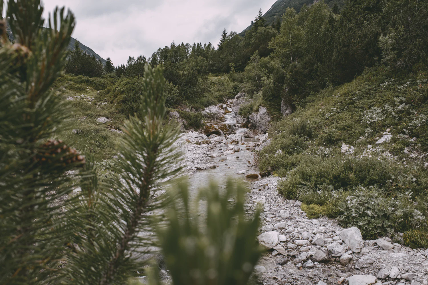 Lechweg (Juli, 2025)