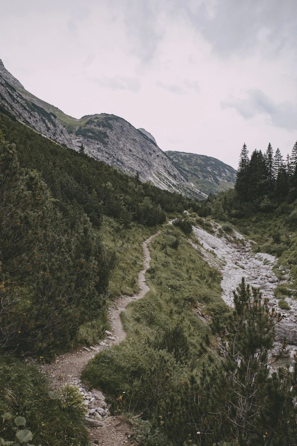 Lechweg (Juli, 2025)