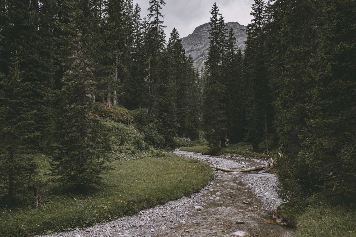 Lechweg (Juli, 2025)