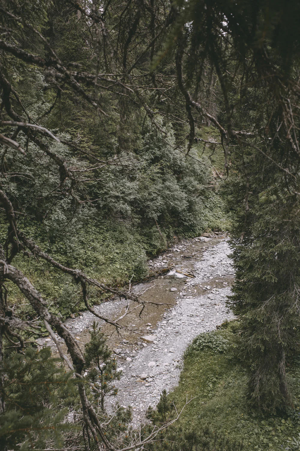 Lechweg (Juli, 2025)