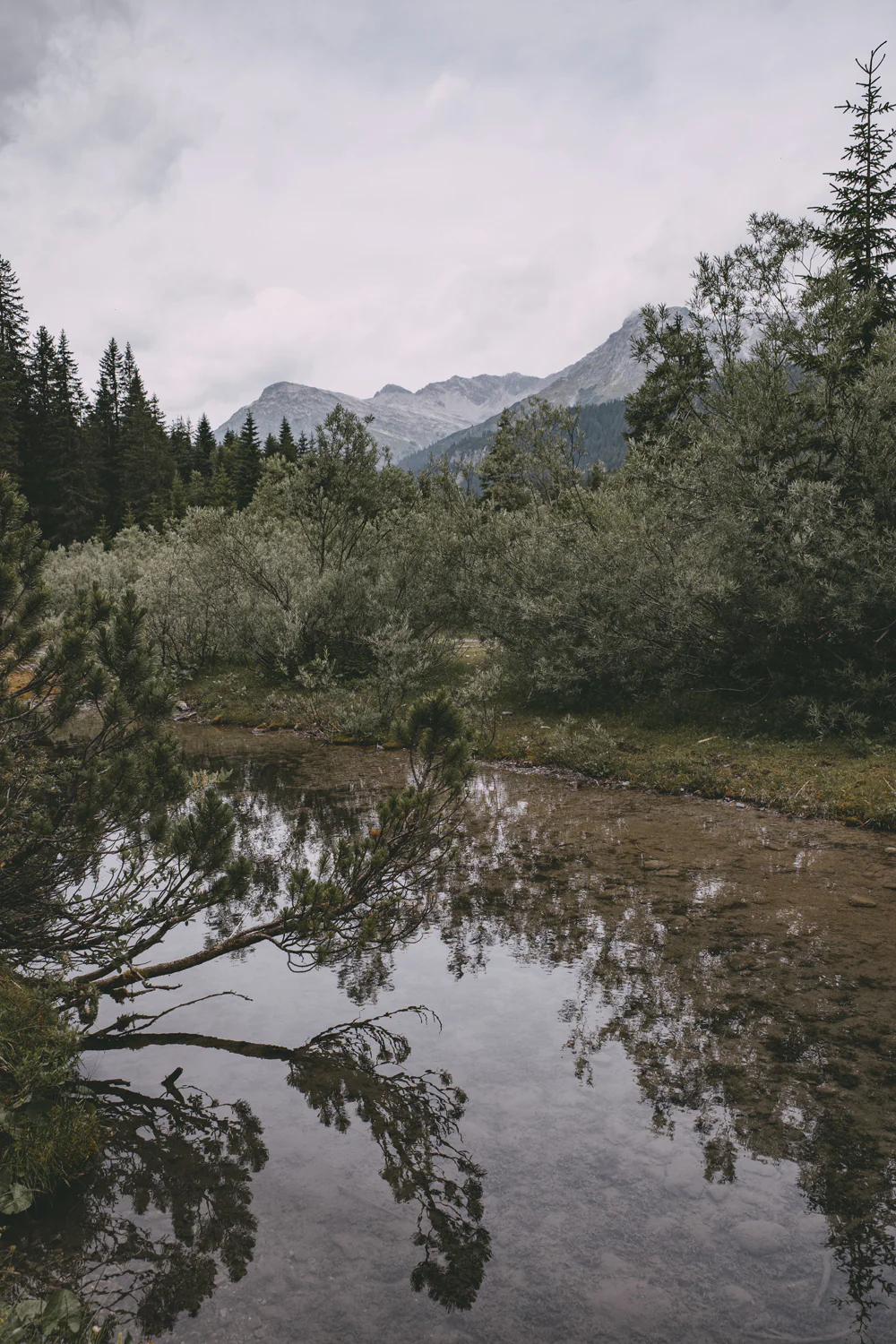 Lechweg (Juli, 2025)