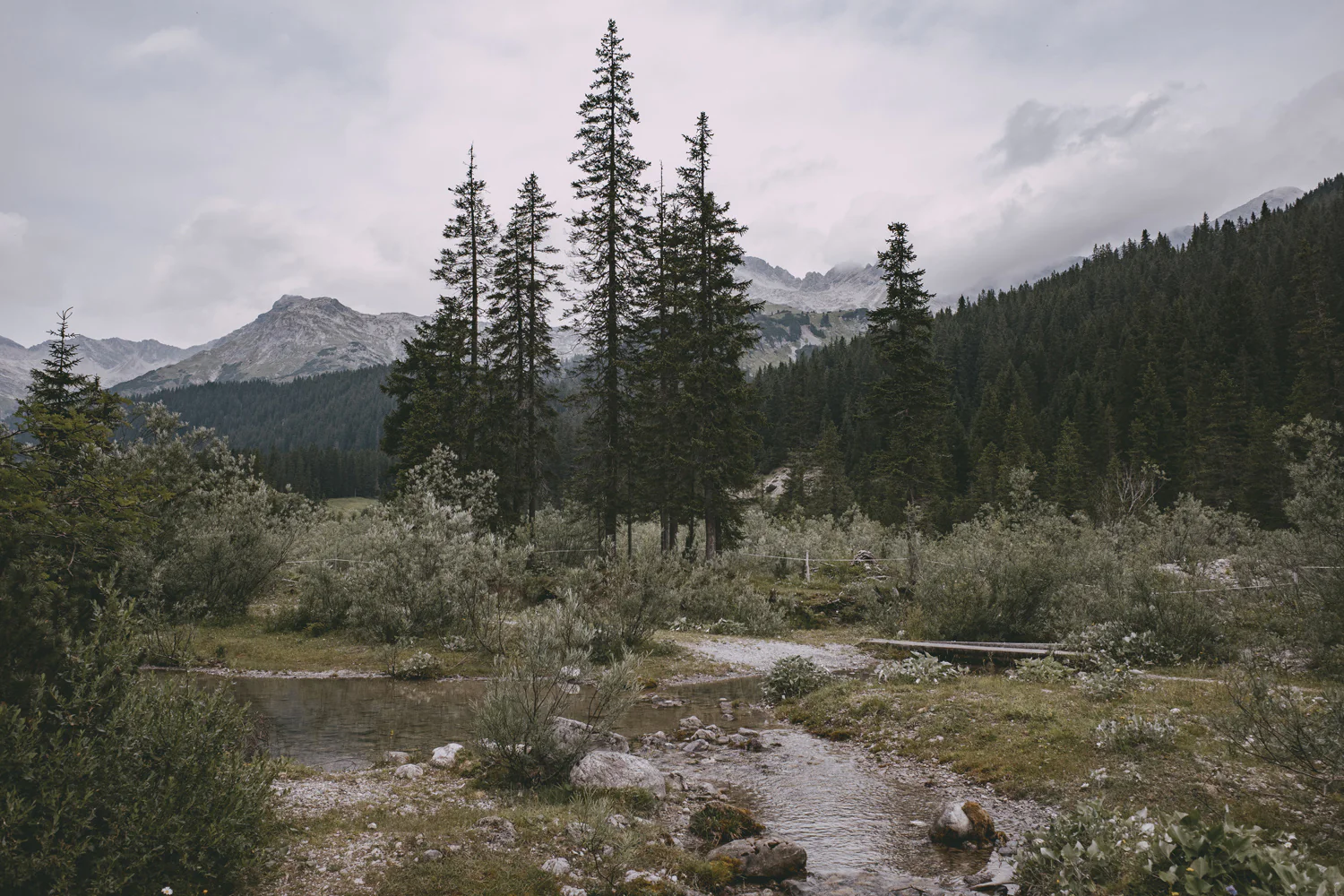 Lechweg (Juli, 2025)