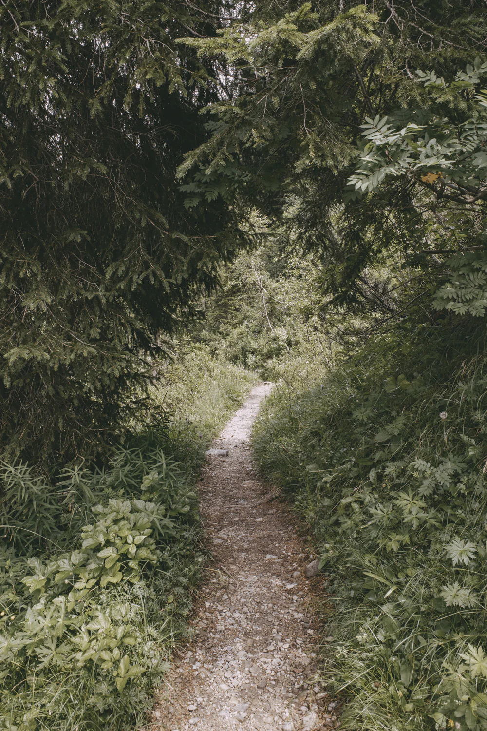 Lechweg (Juli, 2025)