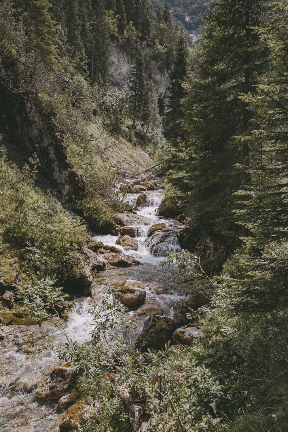 Lechweg (Juli, 2025)