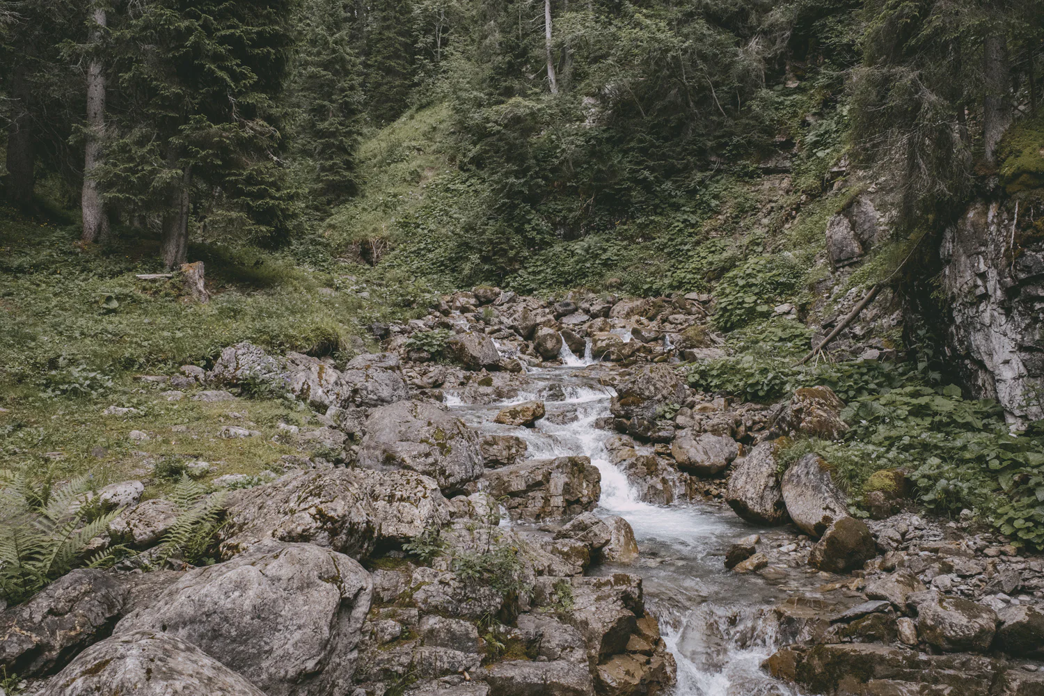 Lechweg (Juli, 2025)