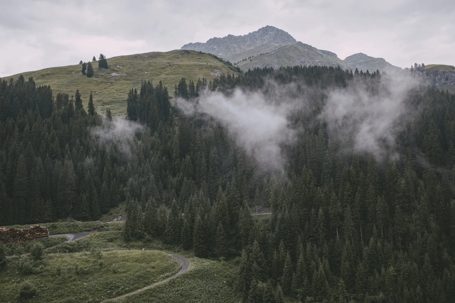 Lechweg (Juli, 2025)