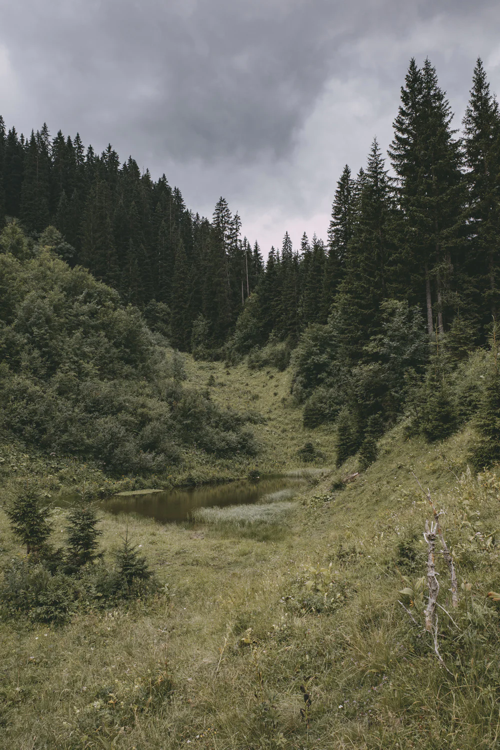 Lechweg (Juli, 2025)