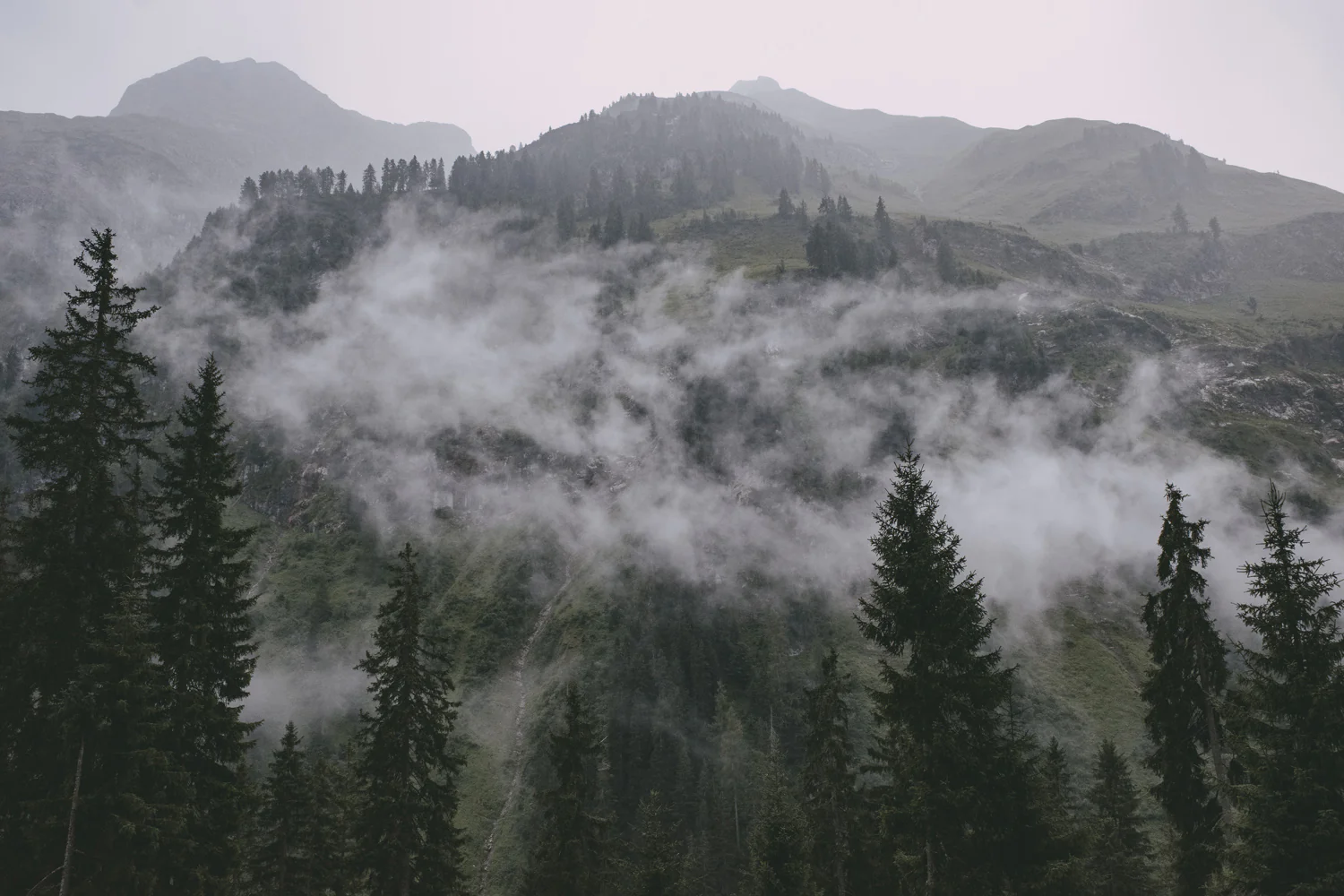 Lechweg (Juli, 2025)