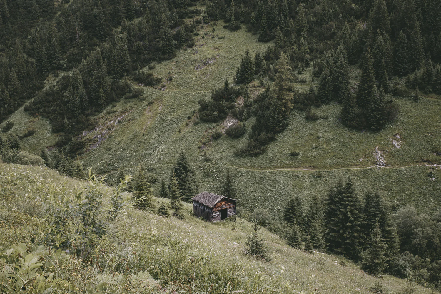 Lechweg (Juli, 2025)