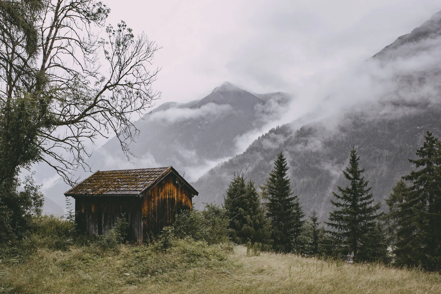 Lechweg (Juli, 2025)