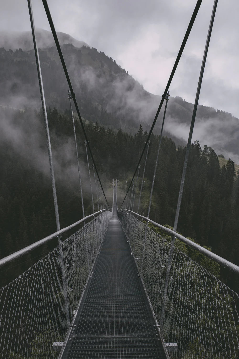 Lechweg (Juli, 2025)