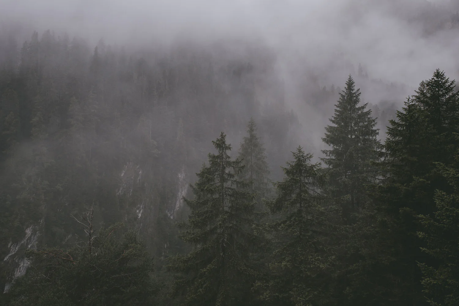 Lechweg (Juli, 2025)