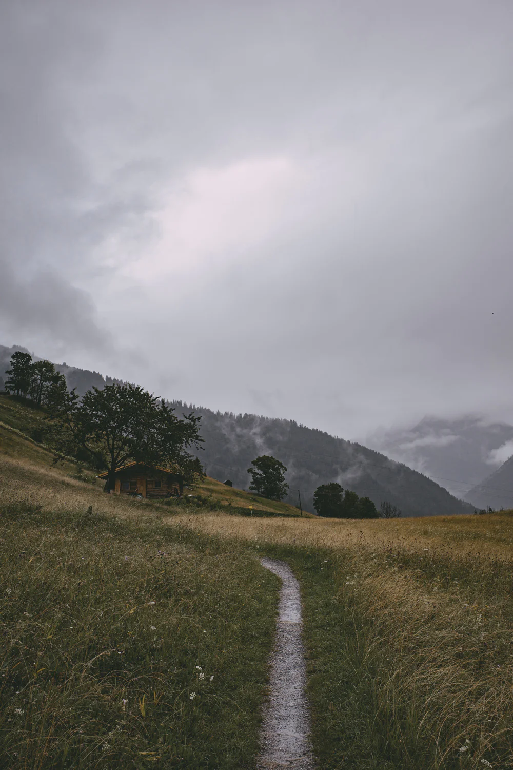 Lechweg (Juli, 2025)