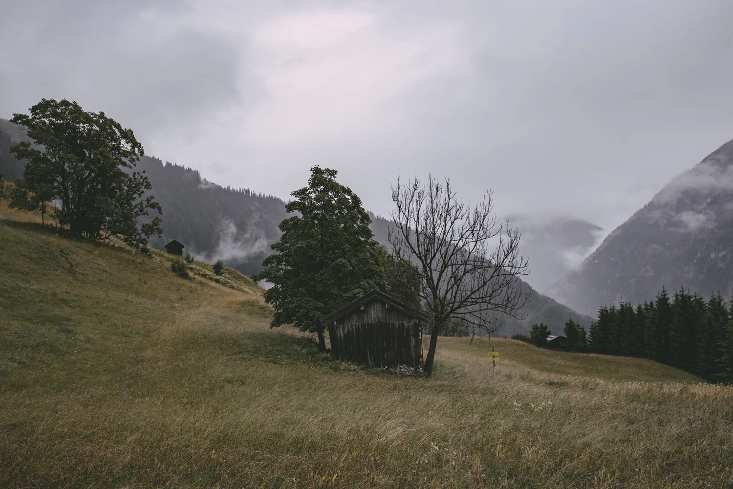 Lechweg (Juli, 2025)