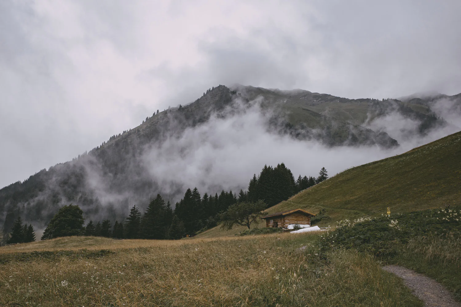 Lechweg (Juli, 2025)