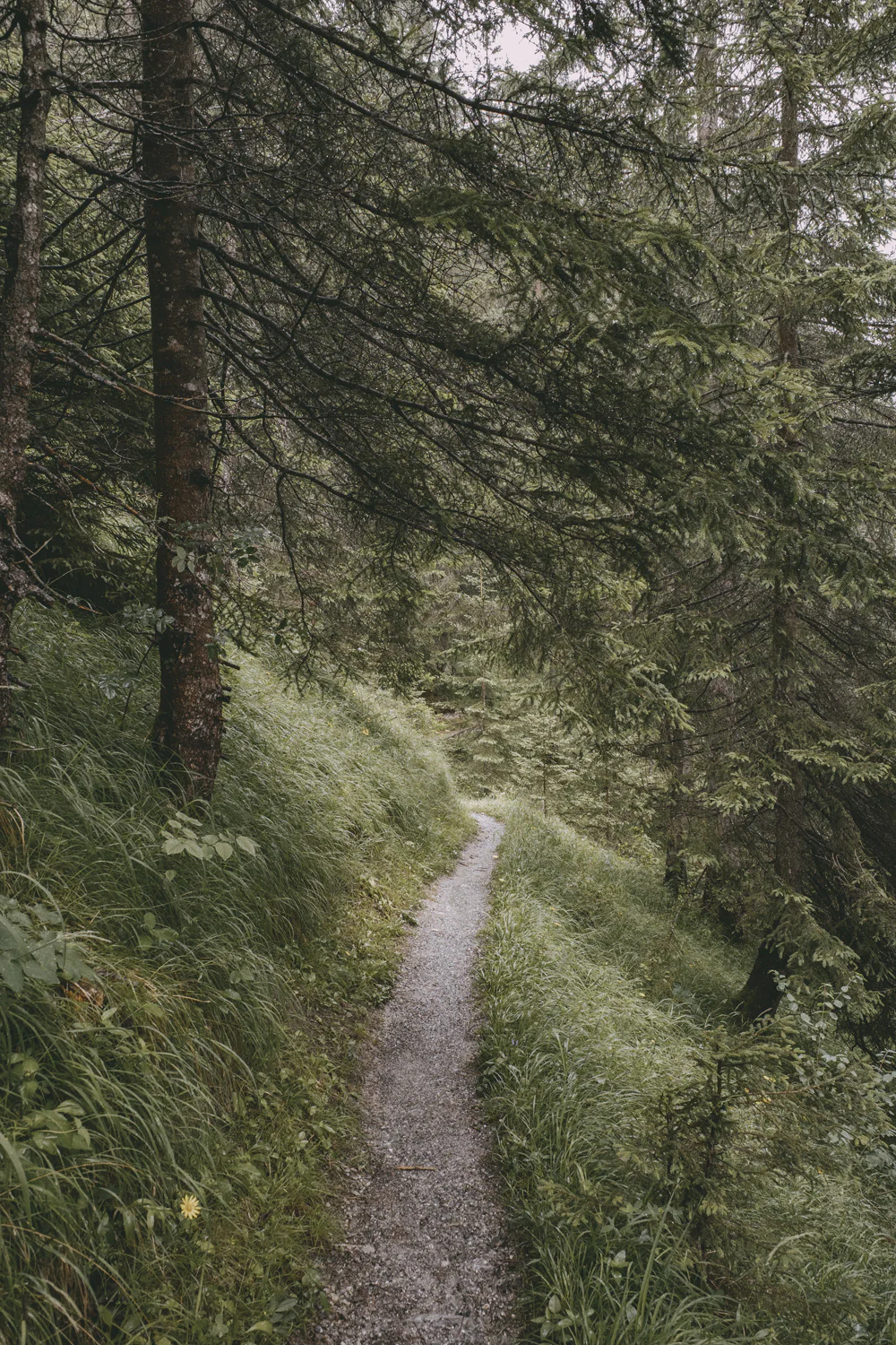 Lechweg (Juli, 2025)