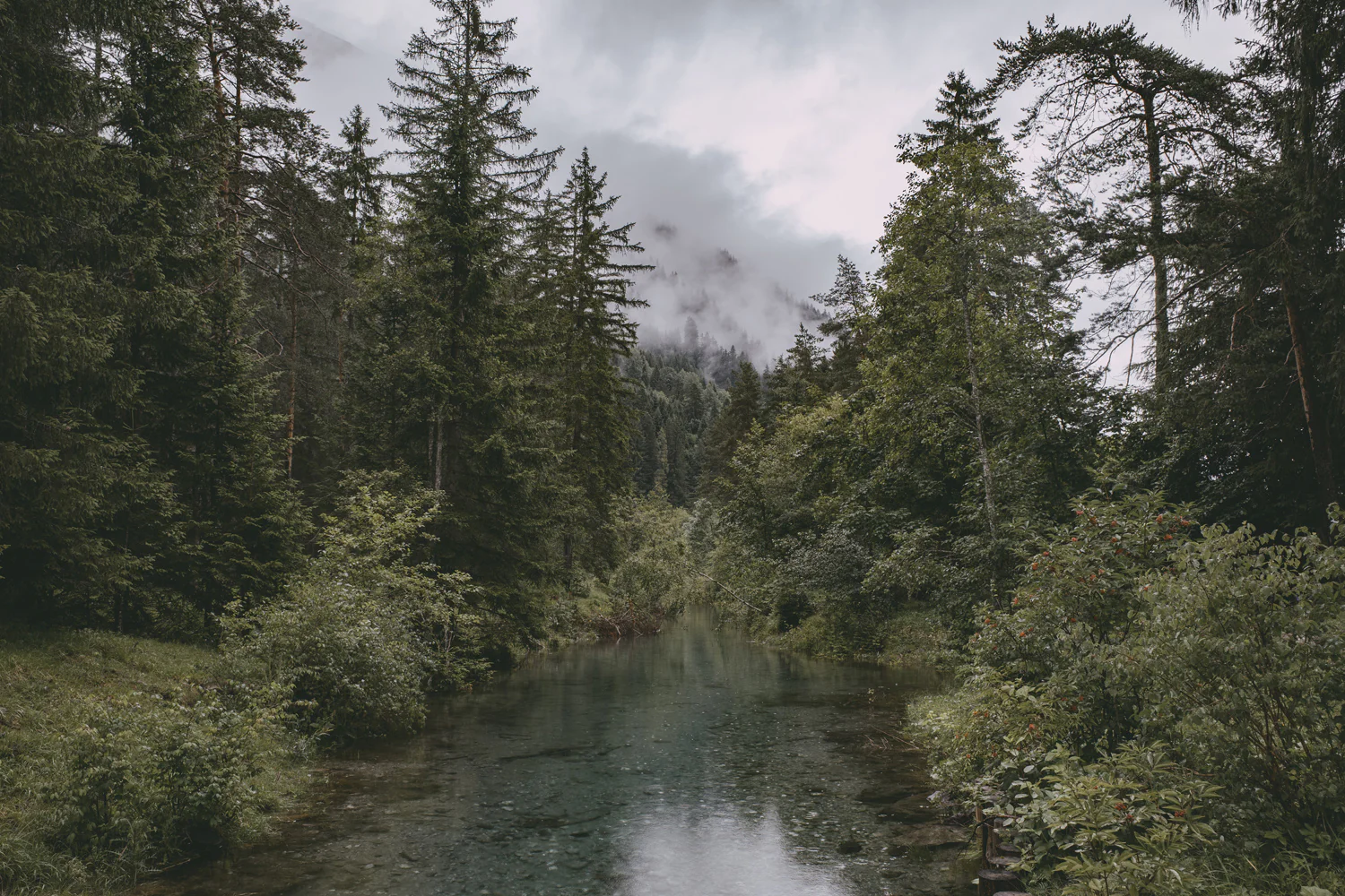 Lechweg (Juli, 2025)