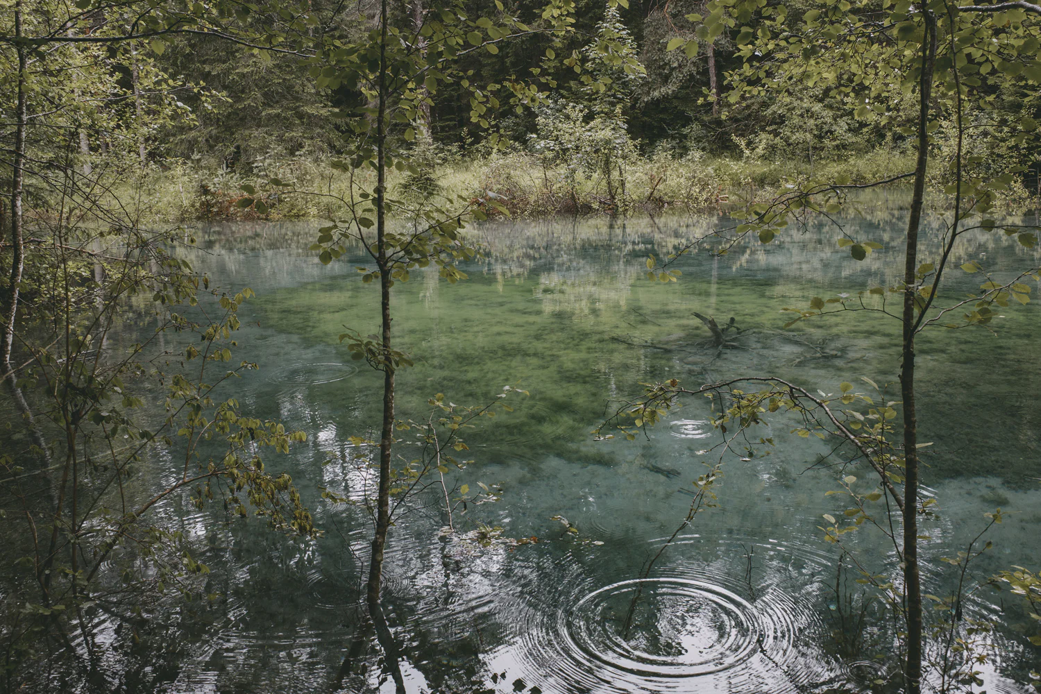 Lechweg (Juli, 2025)