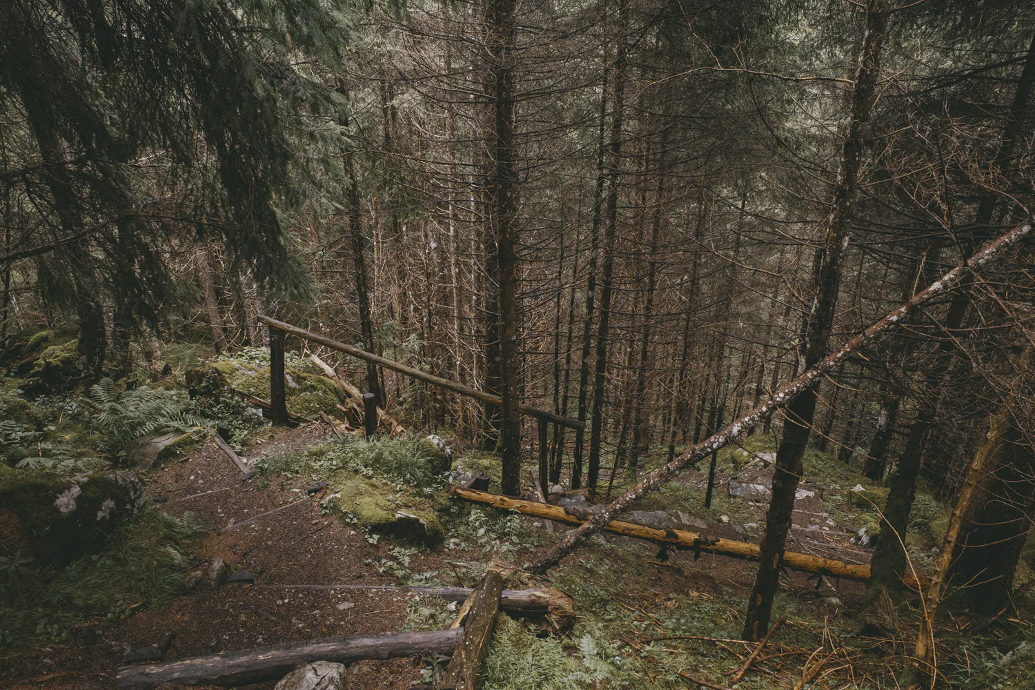 Lechweg (Juli, 2025)