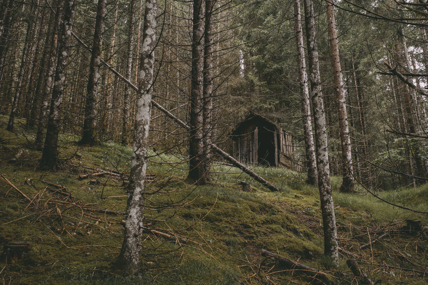 Lechweg (Juli, 2025)