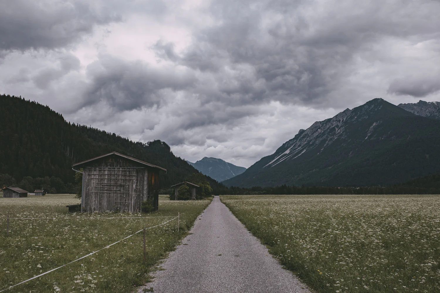 Lechweg (Juli, 2025)