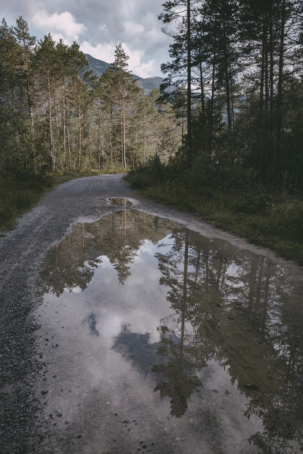 Lechweg (Juli, 2025)