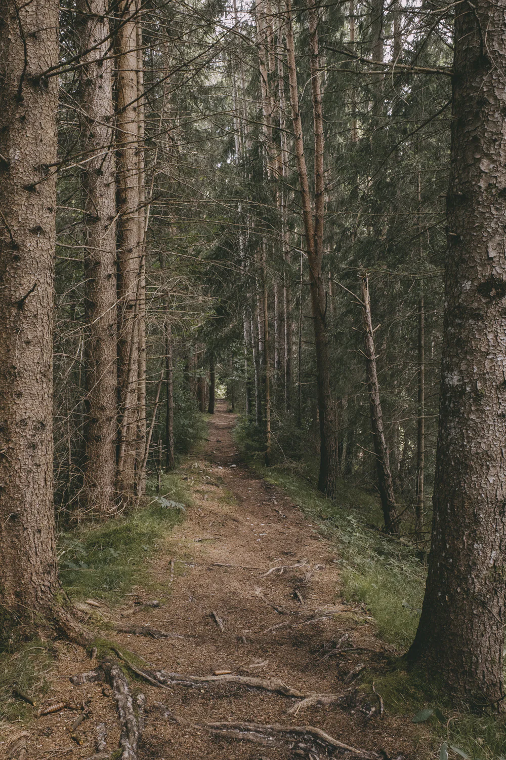 Lechweg (Juli, 2025)