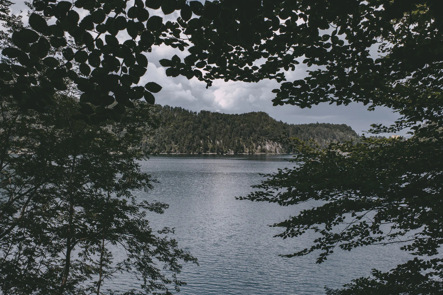 Lechweg (Juli, 2025)