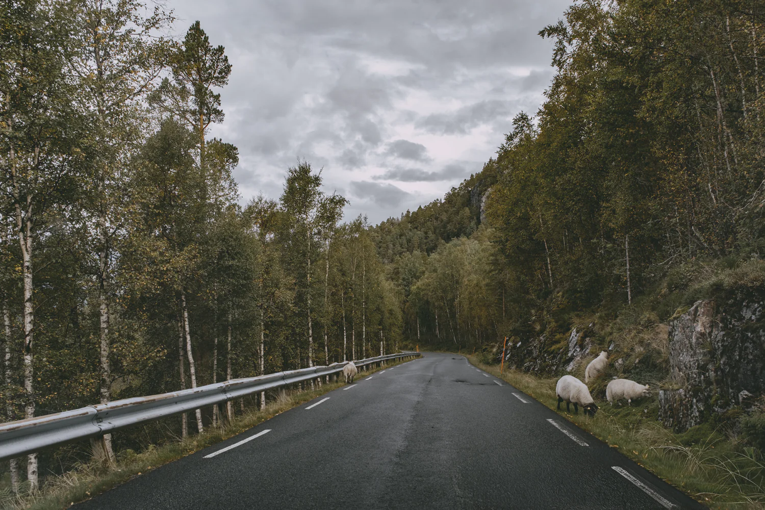 Roadtrip durch Norwegen (Sep., 2025)