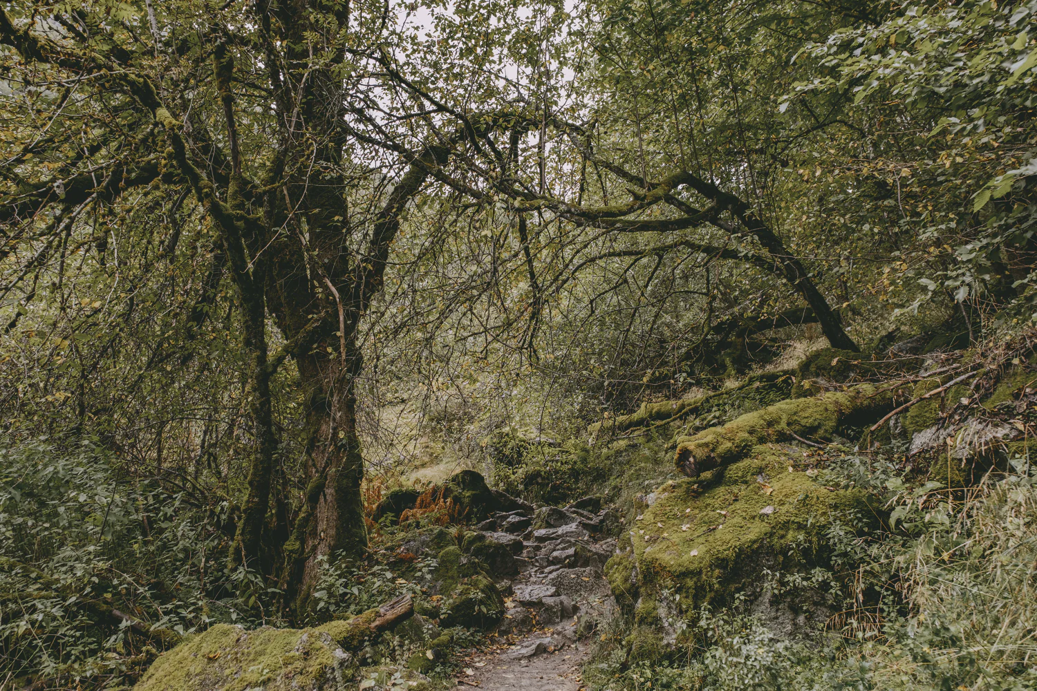 Roadtrip durch Norwegen (Sep., 2025)