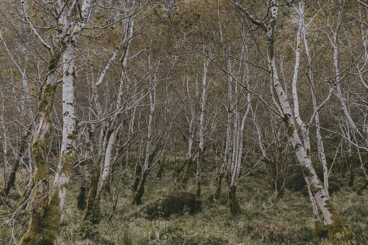 Roadtrip durch Norwegen (Sep., 2025)