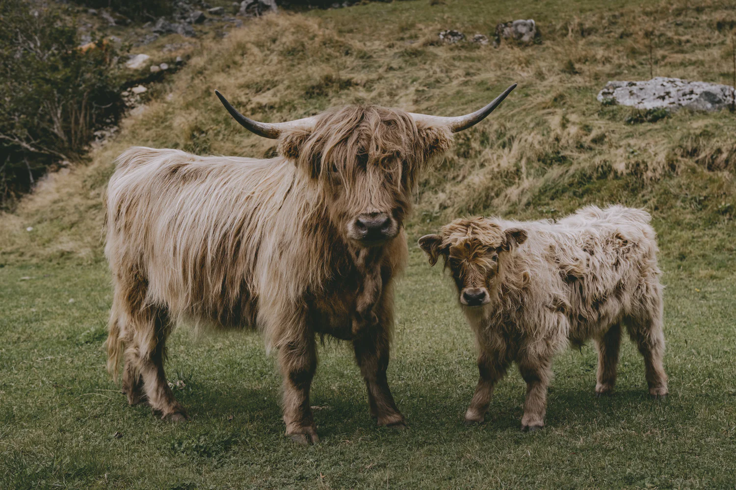 Roadtrip durch Norwegen (Sep., 2025)