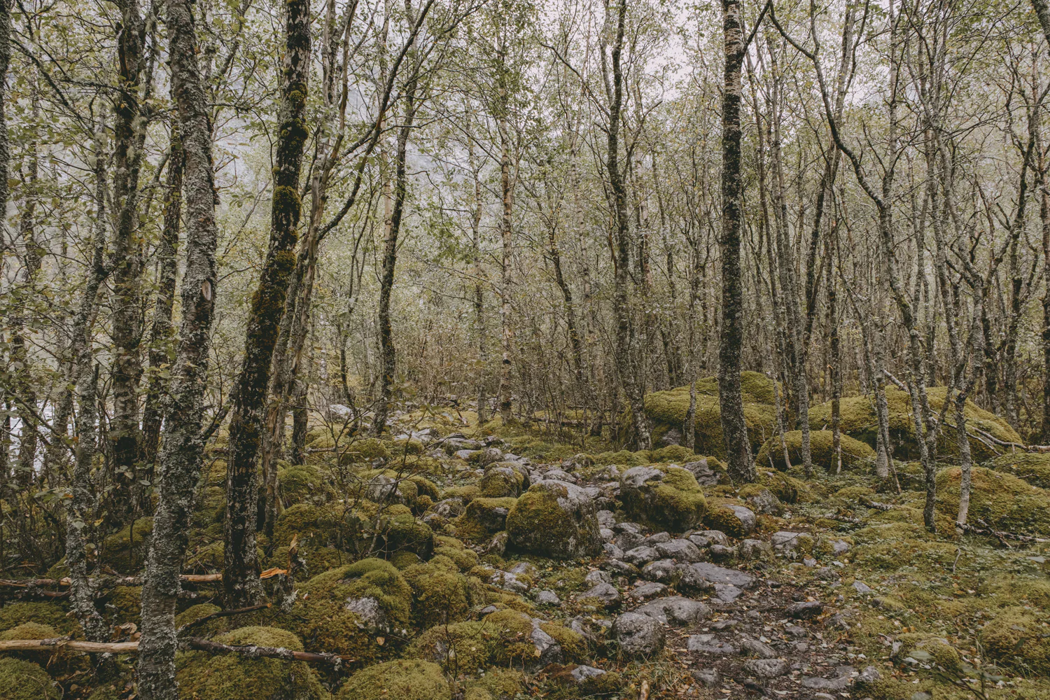 Roadtrip durch Norwegen (Sep., 2025)