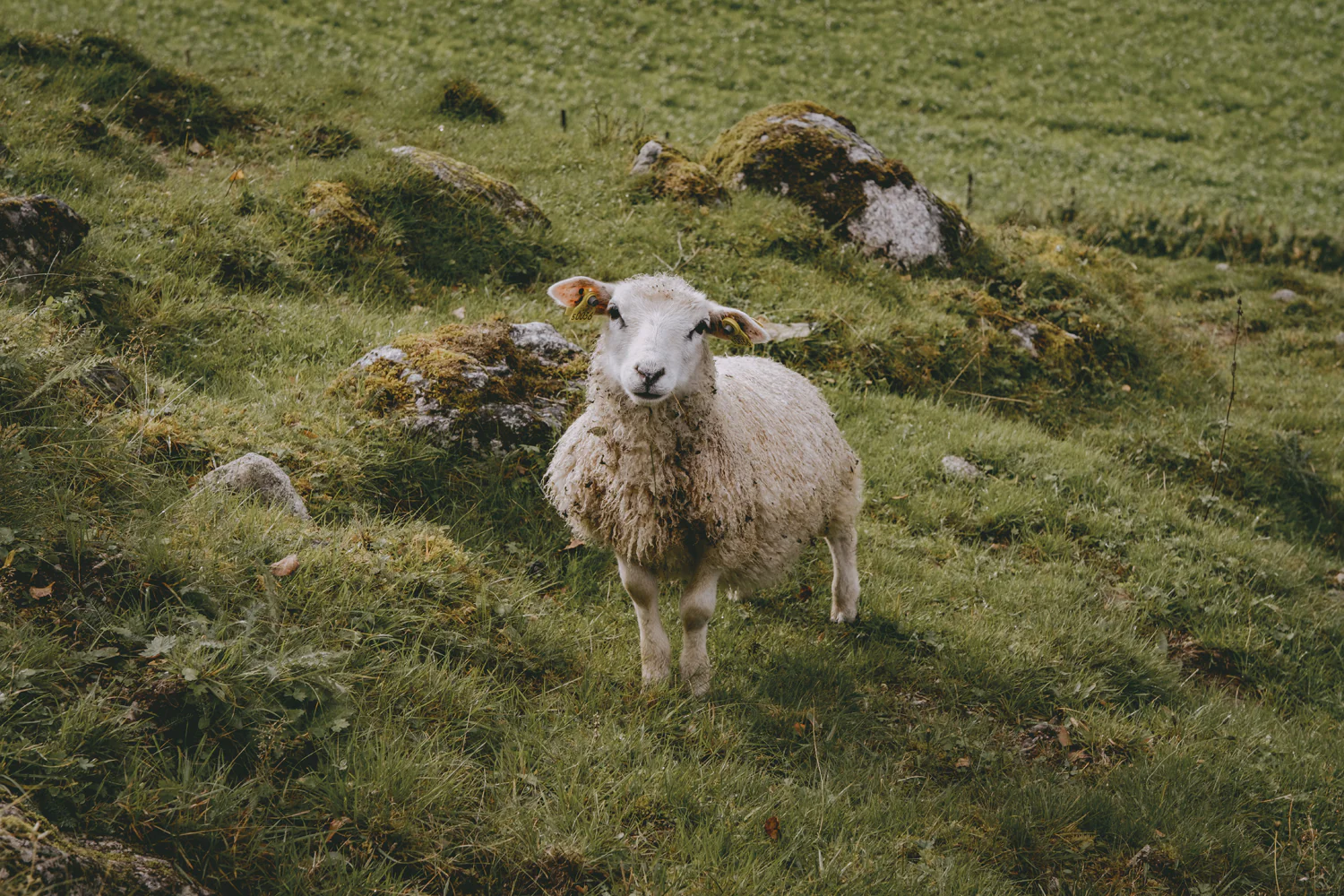 Roadtrip durch Norwegen (Sep., 2025)