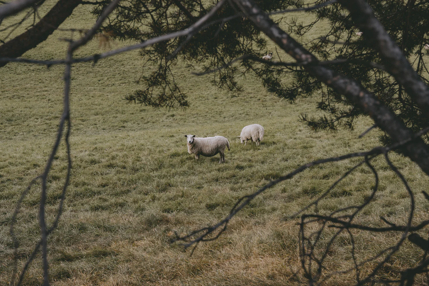 Roadtrip durch Norwegen (Sep., 2025)