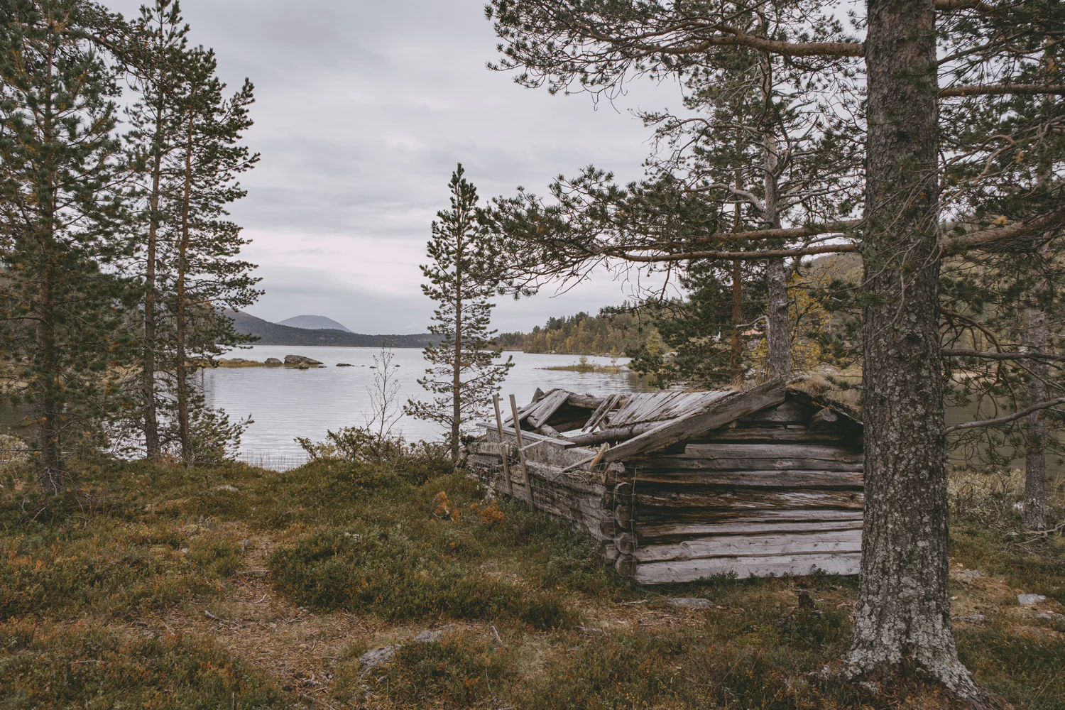 Roadtrip durch Norwegen (Sep., 2025)